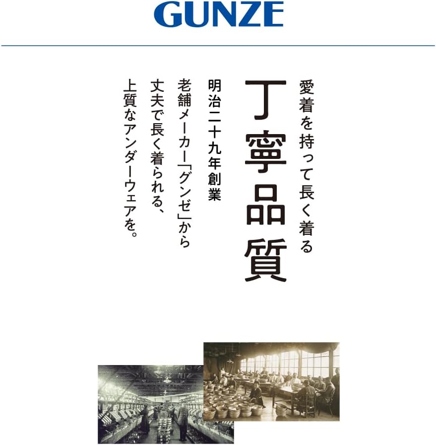 Мужская футболка с круглым вырезом Gunze G.T.HAWKINS, комплект из 3 предметов, HK15133, фото 7
