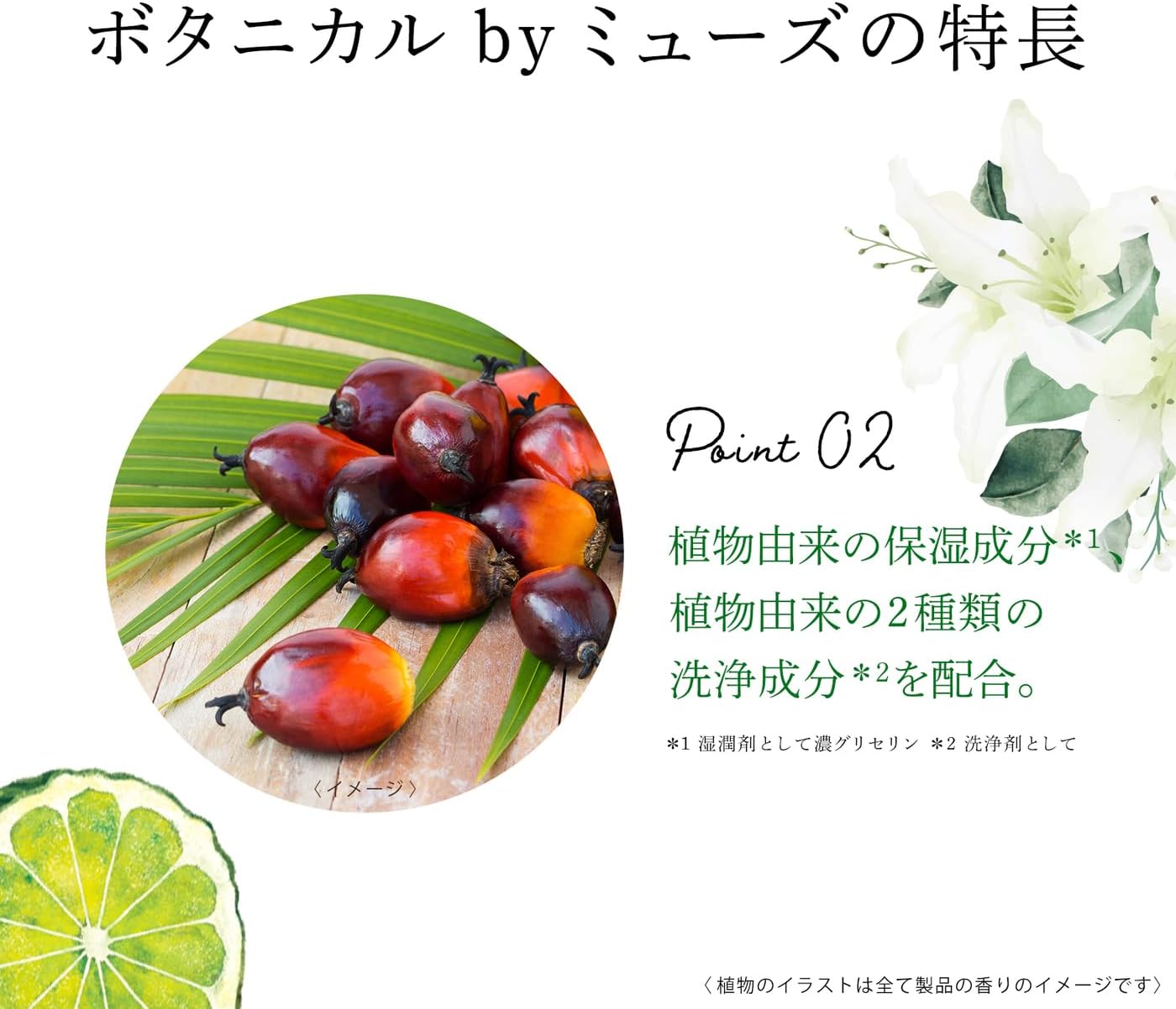 Пенящееся мыло для рук Muse Botanical White (аромат Белой лилии и бергамота) Для тела 250 мл + 700 мл для заправки × 2 штуки Стерилизация и обеззараживание, фото 7