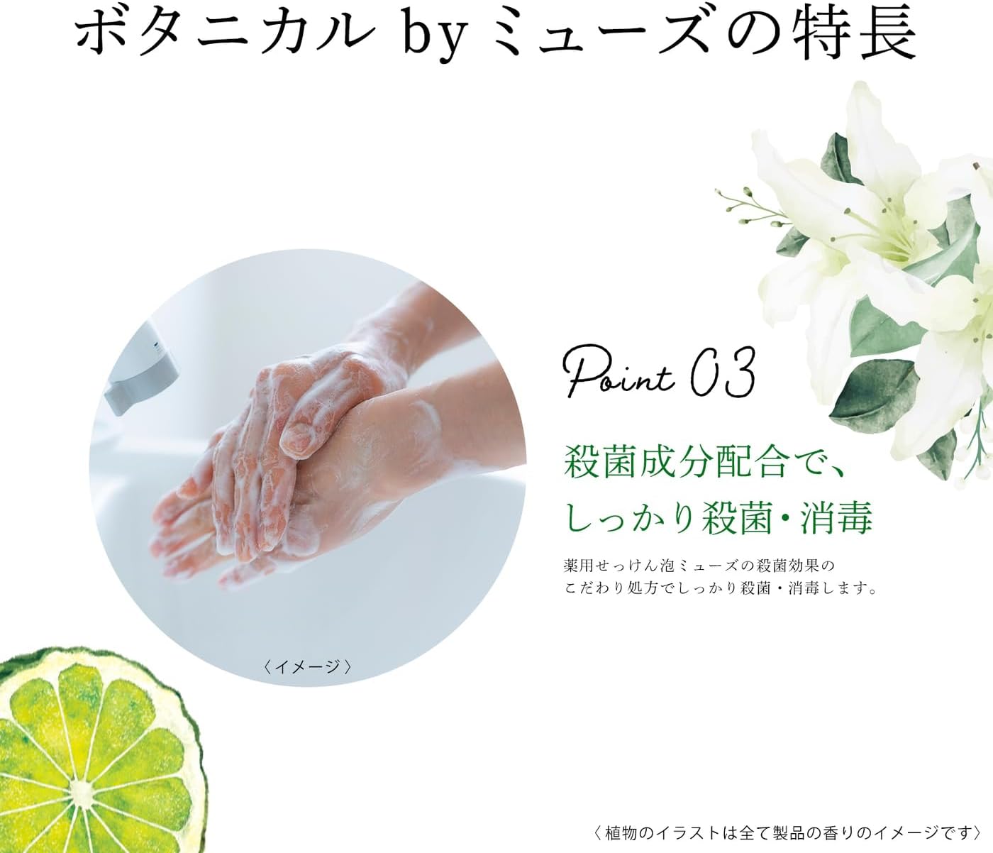 Пенящееся мыло для рук Muse Botanical White (аромат Белой лилии и бергамота) Для тела 250 мл + 700 мл для заправки × 2 штуки Стерилизация и обеззараживание, фото 8
