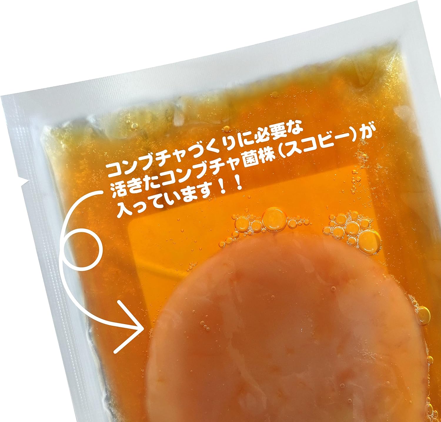 Домашний стартовый набор для приготовления чайного гриба [Ise Shima Kombucha Scoby (Домашний чайный гриб Скоби)] (Сделано в Японии, с оригинальным сортом scoby и жидкостью/170 г), фото 2