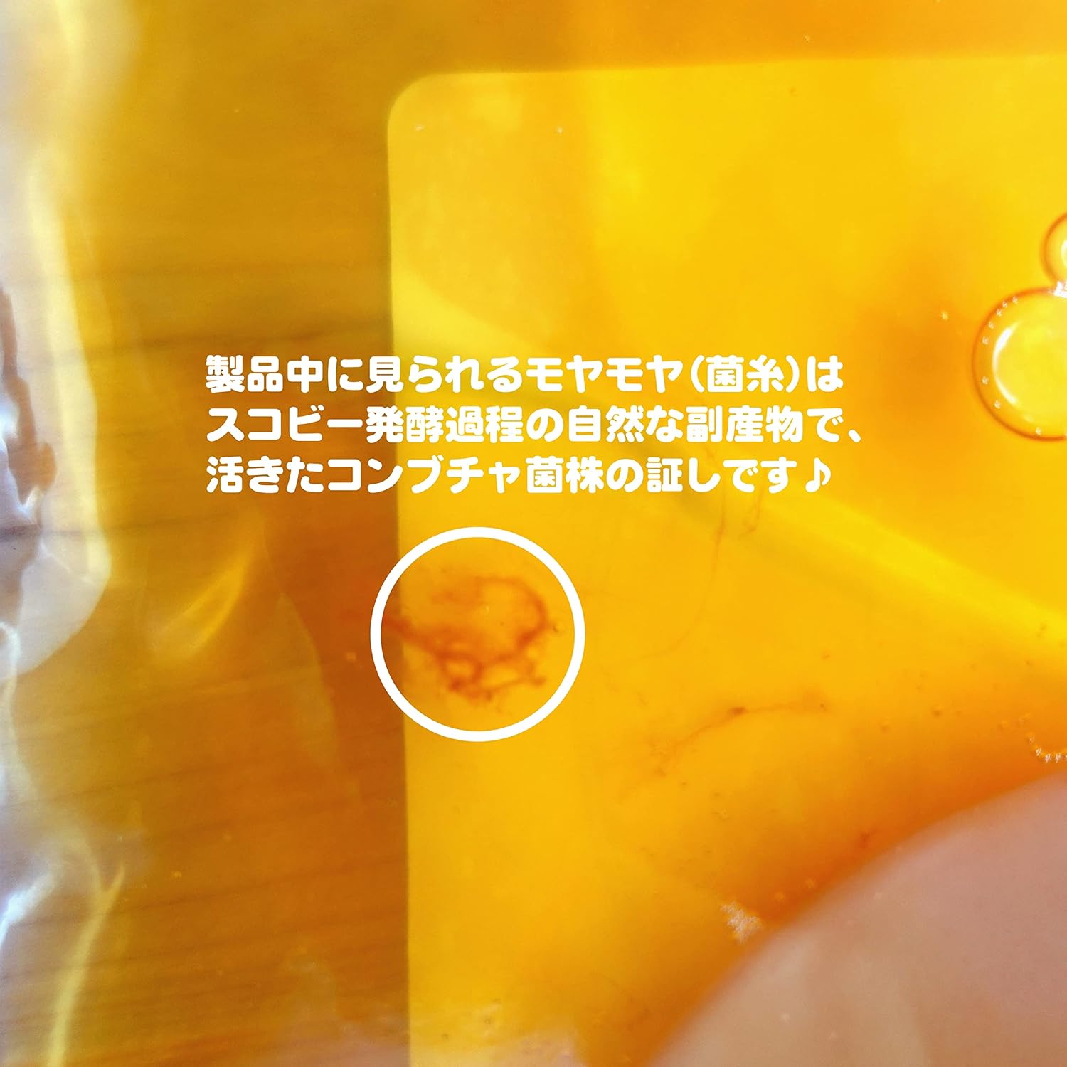 Домашний стартовый набор для приготовления чайного гриба [Ise Shima Kombucha Scoby (Домашний чайный гриб Скоби)] (Сделано в Японии, с оригинальным сортом scoby и жидкостью/170 г), фото 7