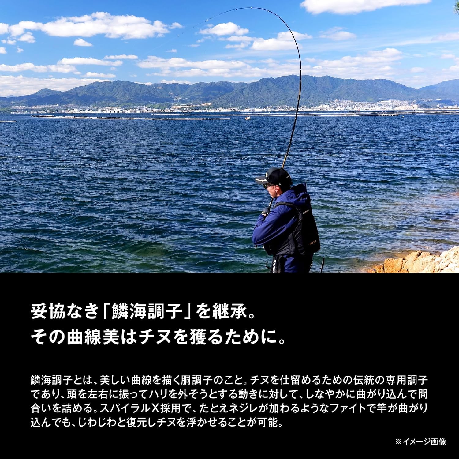 SHIMANO (ШИМАНО) морской шест 25 весов морской разновидности, фото 5