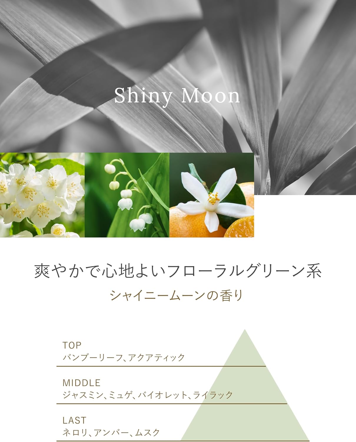 Парфюмерная композиция Lavons Room Fragrance Refill, Shiny Moon [Цветочно-зеленый] с ароматом блестящей луны, 150 г, фото 4