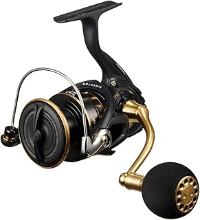 ダイワ(DAIWA) スピニングリール 23BG SW 4000~18000番 各種 (2023年モデル)