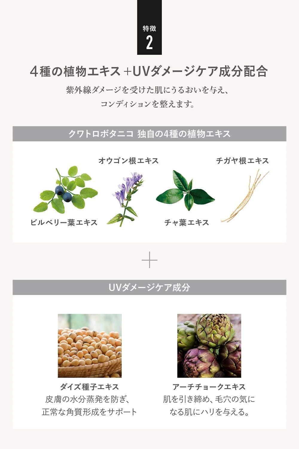 Quattro Botanico (Солнцезащитный крем для мужчин UV) С растительным маслом для защиты от ультрафиолета, белый плавающий крем для подавления липкости, легкий комфорт при ношении, мужской уход за кожей, Водостойкий крем для лица и всего тела (SPF50+ / PA++++ / 50 г), фото 5