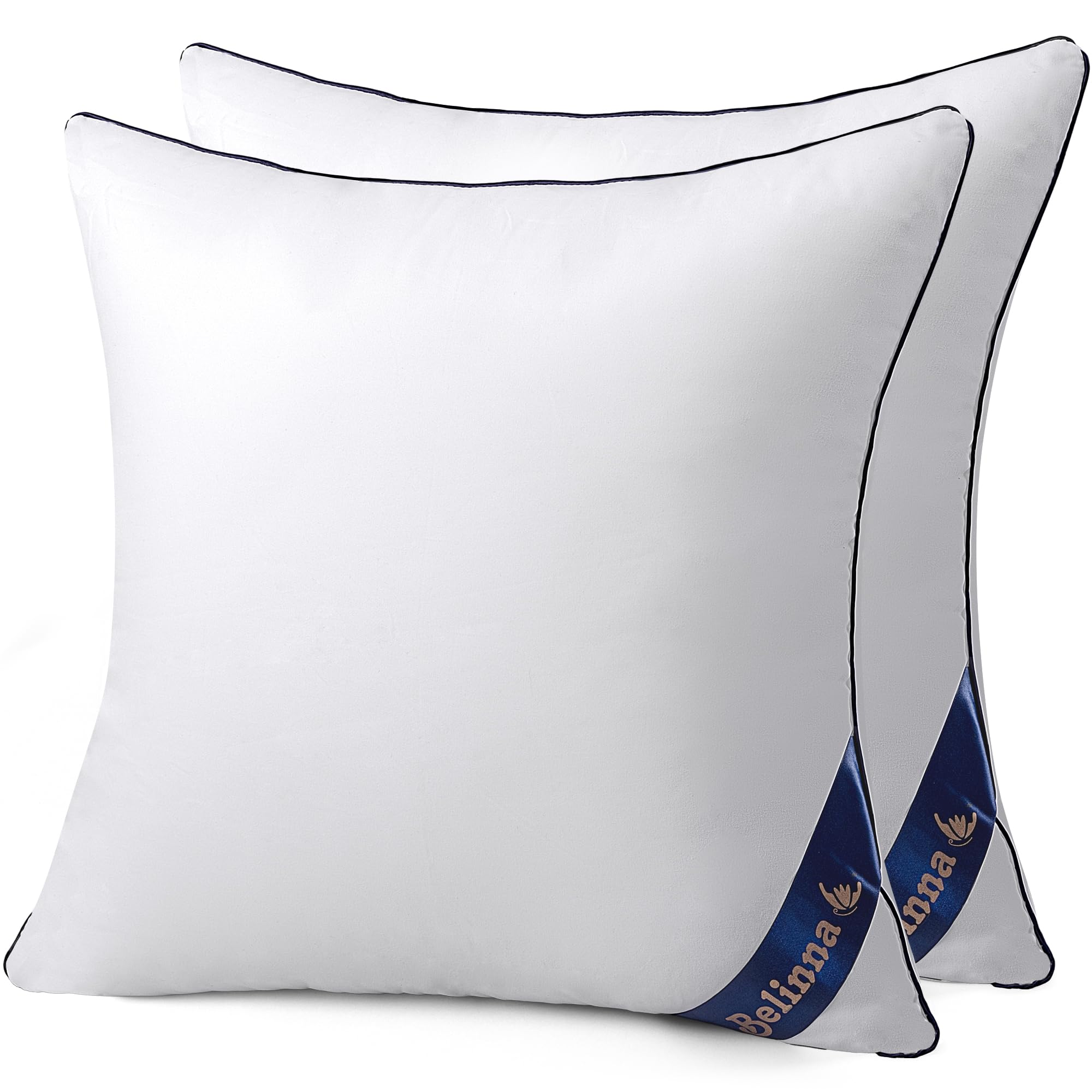 Pillow Inserts 50x50cm*2 (Other Sizes Available) Thick Non-Crushable Set of Two Backrest Sofa Cushion Nude Cushion Machine Washable Body Pillow white 50cm*50cm（2個）