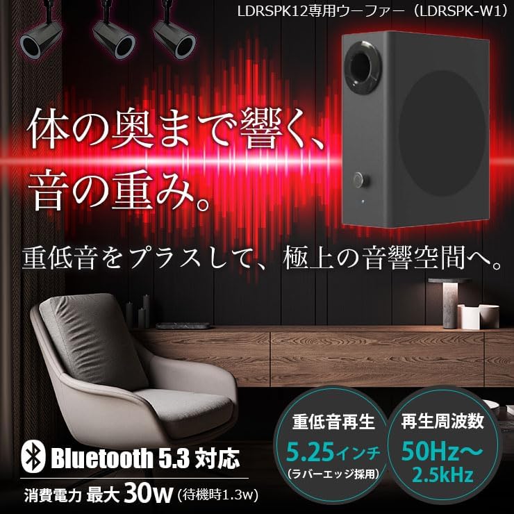 Низкочастотный динамик Beamtec (Бимтек) Bluetooth LDRSPK12 эксклюзивного использования LDRSPK-W1, фото 3