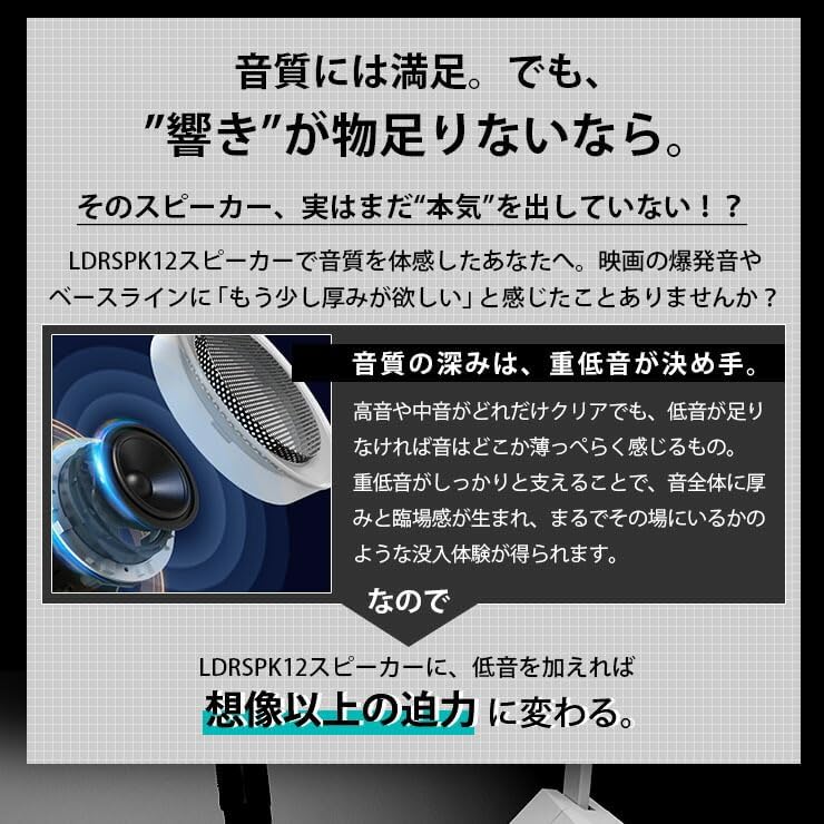 Низкочастотный динамик Beamtec (Бимтек) Bluetooth LDRSPK12 эксклюзивного использования LDRSPK-W1, фото 4
