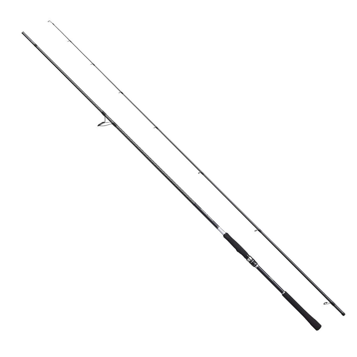 Shimano 2021 Model Sea Bass Shore Casting Saltwater Rod, Sea Bass Moon Shot S106MH