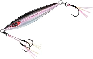 ダイワ(DAIWA) ソルティガFKジグSLJ 30g~80g 各種