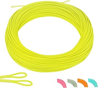 Maxcatch DT フライライン ダブルテーパー フローティング：1-8F、100フィート DT フライフィッシングライン