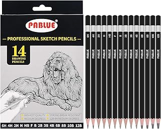 14本セット デッサン スケッチ 絵画 アート用 鉛筆 6H 4H 2H H HB F B 2B 3B 4B 6B 8B 10B 12B，絵画、スケッチ、デッサンに最適、初心者・プロ用アーティスト鉛筆