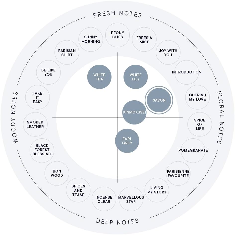 SHIRO Sabon Hair Mist для ухода за волосами, 80 мл, фото 4