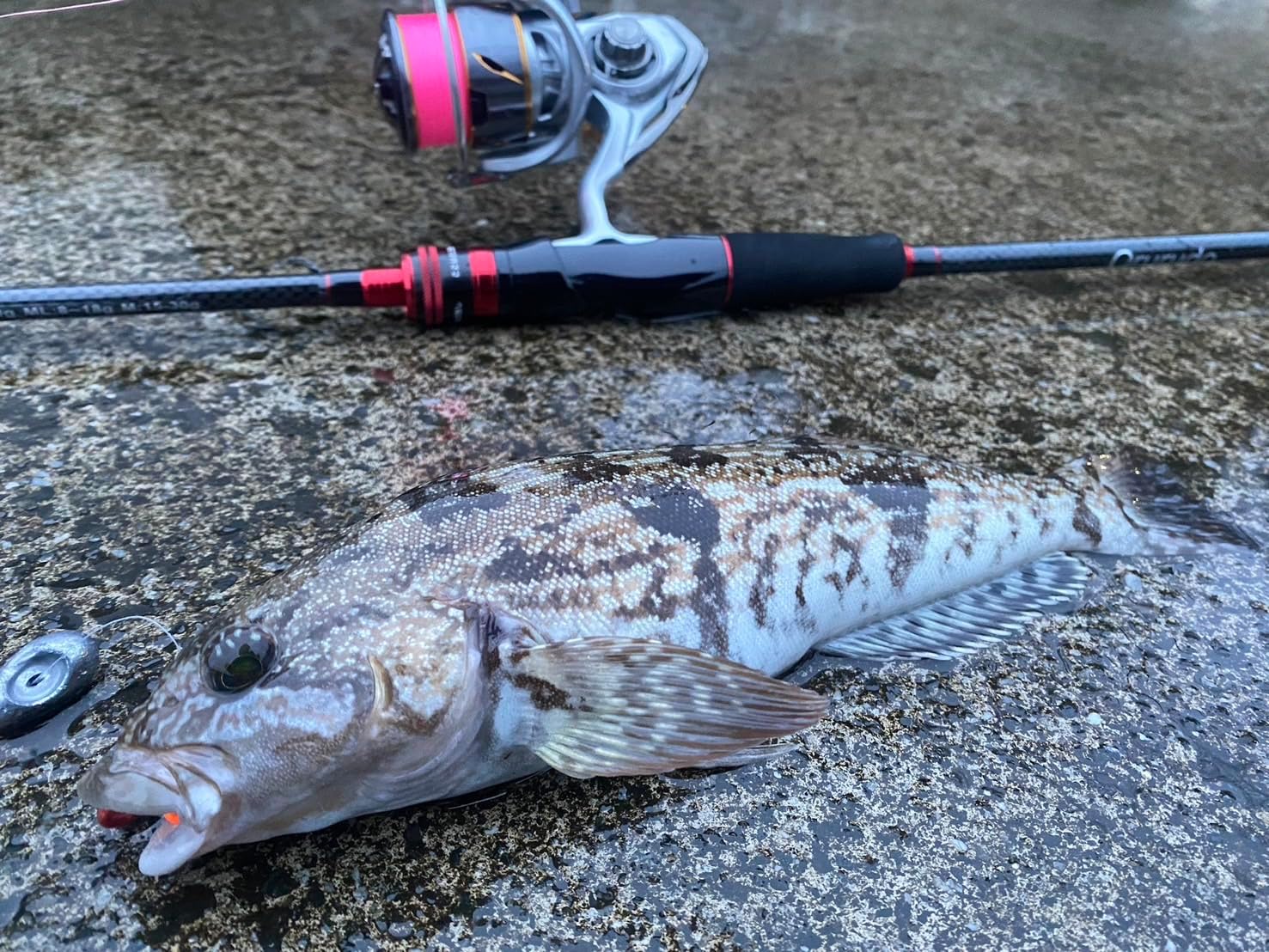 Удилище Ollud Fishing Tackle Lure Rod Revolution "Triple D 2,7м" - это удилище рассчитано на 3 типа ловли: L, ML, M для ловли Эгга, кита, морского окуня и LSJ, qb300106 в одном экземпляре, фото 4