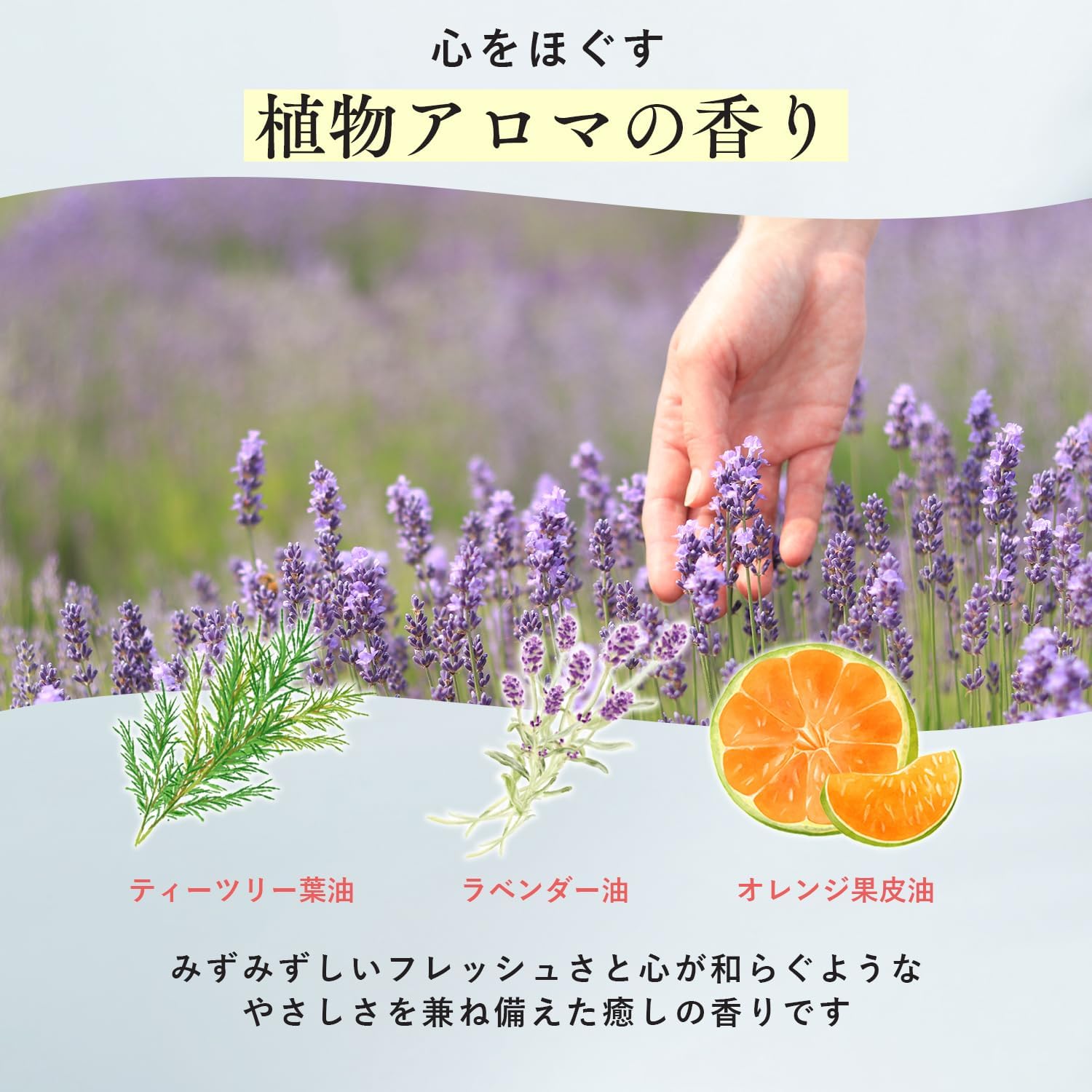 【Витамин С с высокой концентрацией】 ALLNA ORGANIC Vitamin C Skin Serum 4-типовая смесь сыворотки с витамином С высокой концентрацией [с ароматом растений] Без добавок для сужения пор, ухода за тусклостью, увлажнения Обычный тип: 1,6 жидких унций (47 мл), фото 6
