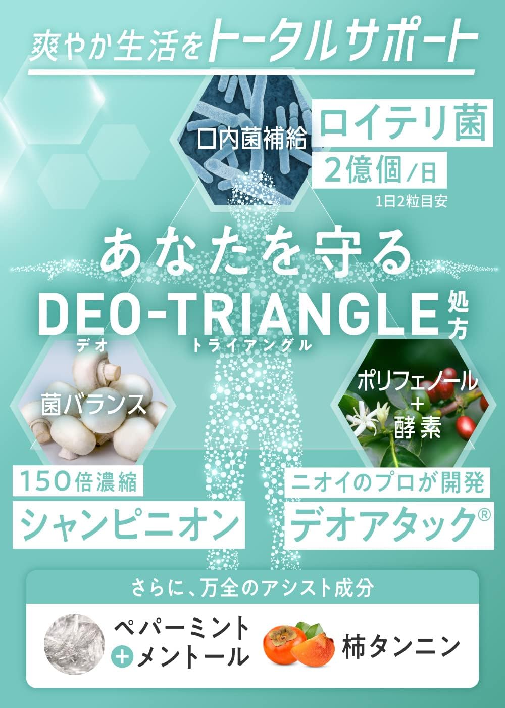 Добавка DeoAerle Supplement Champignon DEOATAK с молочнокислыми бактериями, 60 таблеток, курс на 30 дней, 1 упаковка, фото 4