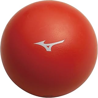 MIZUNO(ミズノ) サッカー/フットボール リフティングボール STEP1・STEP2 ユニセックス ボールを芯で捉えるスキルの向上 繊細なボールタッチの向上