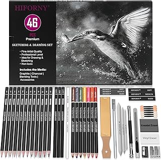 HIFORNY スケッチ&ドローイング 46本セット スケッチ鉛筆 画材 色付きチャコール鉛筆 グラファイト チャコール ブレンドツール アクセサリー お絵かきキット 大人のアーティスト向け