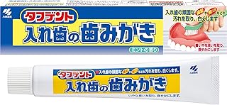小林製薬 タフデント 入れ歯の専用歯みがき ミントの香り 95ｇ