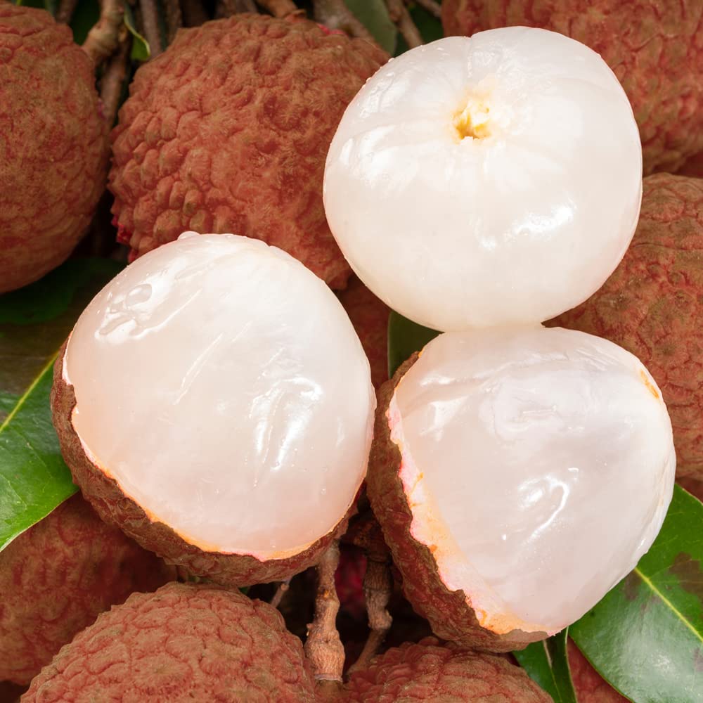Frozen Fruit Lychee (Black Leaf Seeds), 2.2 lbs (1 kg) (1.1 oz (500 g) x 2p), Sugar Free, Additive-free, Commercial Use, Smoothie, Shaved Ice, Tropical Fruits, Raisi, Frozen Lychee 1㎏(2pc)