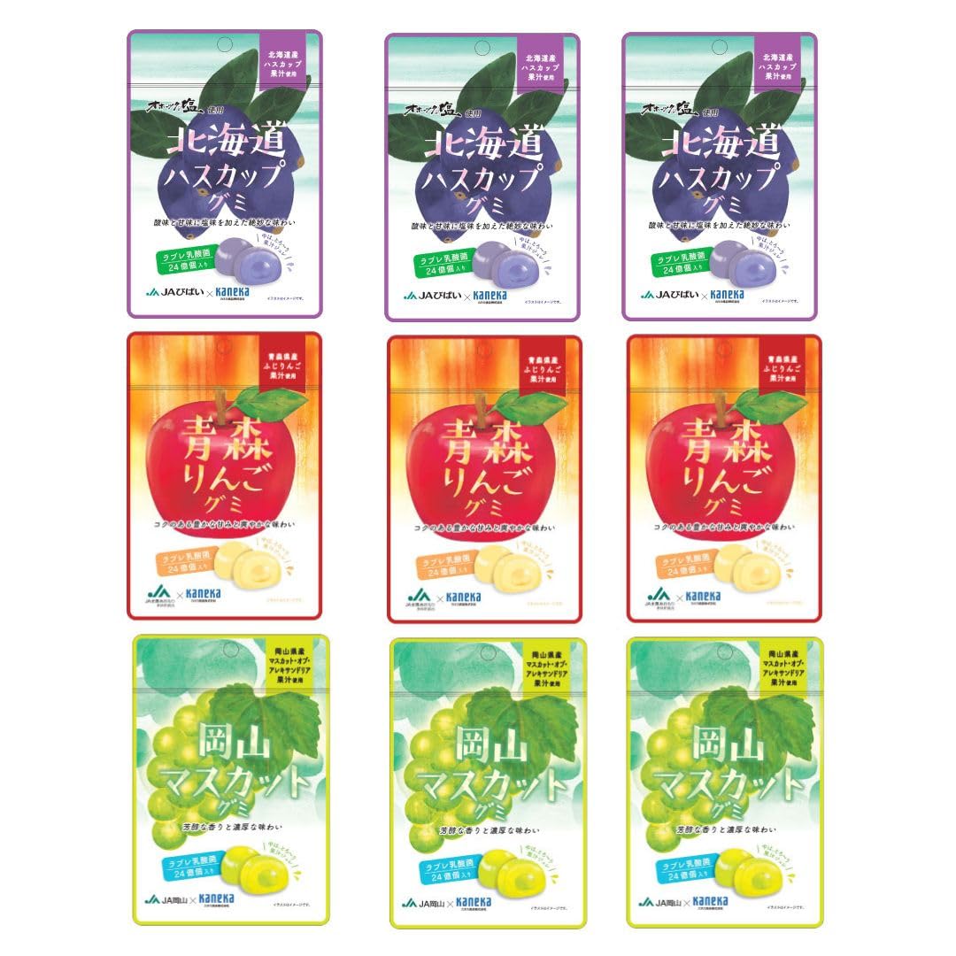 カネカ食品 ラブレ乳酸菌入りグミ 詰め合わせ(北海道ハスカップ・青森りんご・岡山マスカット)40g×9袋 グミ 人気 大容量 北海道ハスカップ・青森りんご・岡山マスカット 9袋