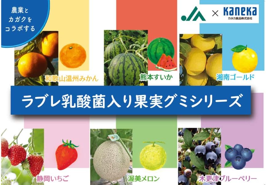 Ассортимент мармелада, содержащий молочнокислые бактерии Kaneka Food Labre (Хоккайдо Хаскап, яблоко Аомори, мускат Окаяма), 40 г × 9 пакетиков Популярный мармелад большой емкости Хоккайдо Хаскап, яблоко Аомори, мускат Окаяма, 9 пакетиков, фото 7