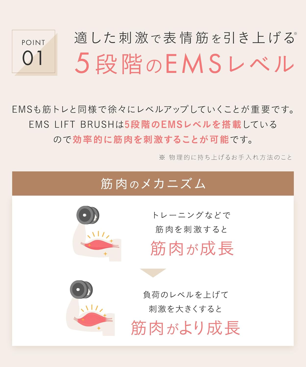 Электрическая щетка для лица SALONIA EMS lift brush электрическая щетка для подтяжки кожи головы 【Amazon.co.jp количество ограничено】, фото 7